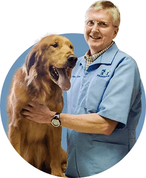 Veterinarian in Alameda, CA  Animal Hospital in Alameda, CA