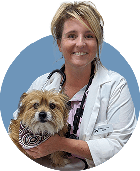 Veterinarian in Alameda, CA | Animal Hospital in Alameda, CA