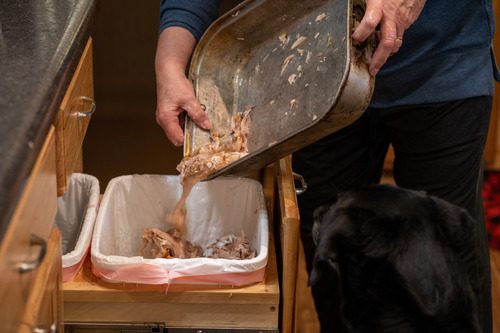 female-owner-dumping-contents-of-pan-from-turkey-dinner-while-black-lab-dog-watches